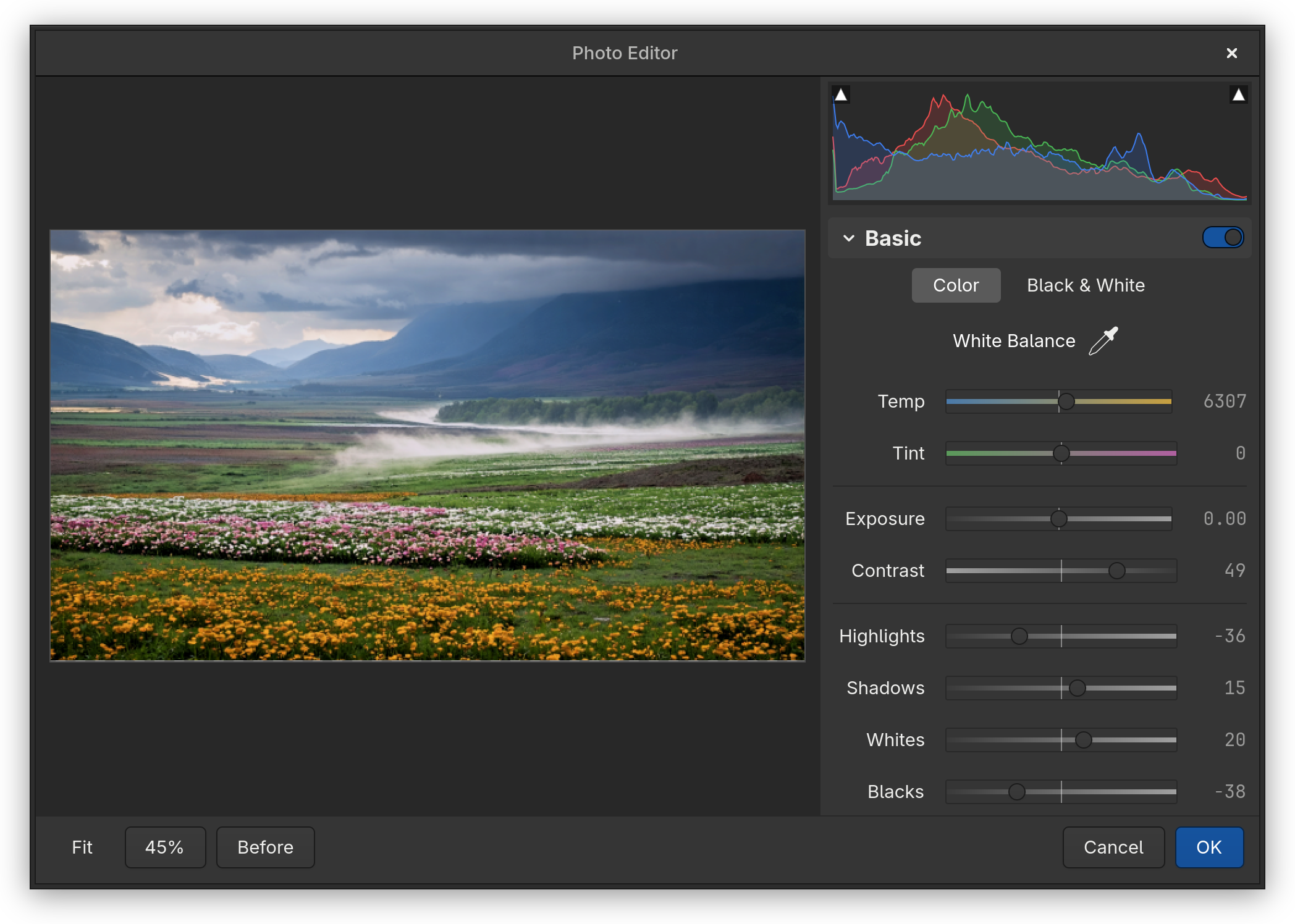 Fog Panther's Photo Editor window bringing out colour and contrast in a meadow of flowers below misty mountains, with white balance, contrast, highlights, shadows, whites and blacks beside a live histogram